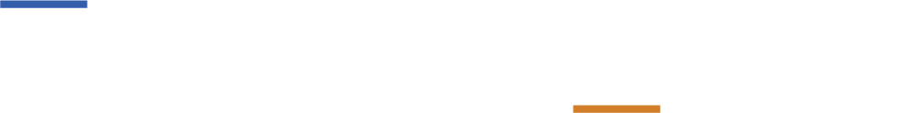 Sportswise White Logo